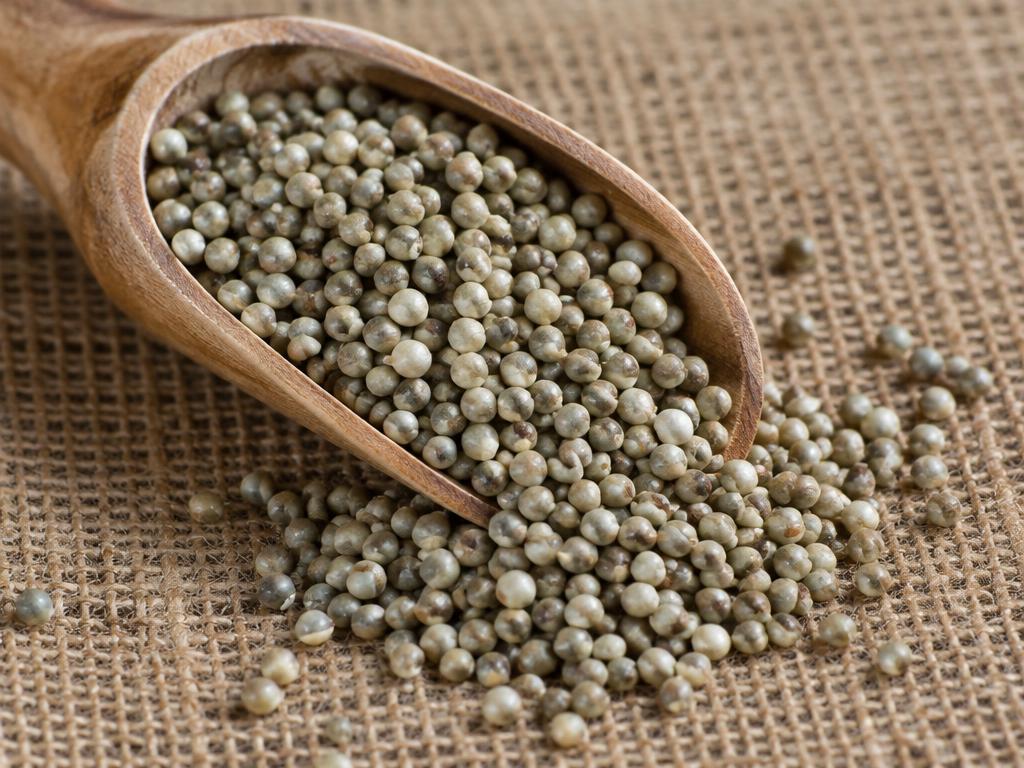 Pearl millet (bajra) grains in a wooden scoop